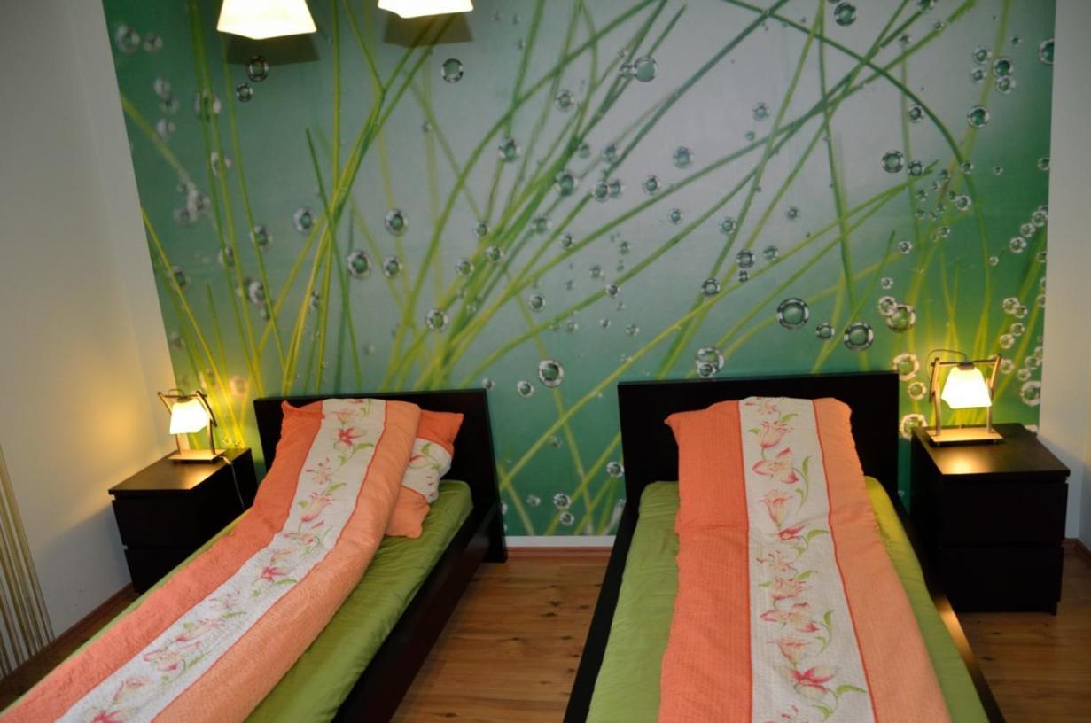 Apartament Nad Lomniczka 卡尔帕奇 外观 照片